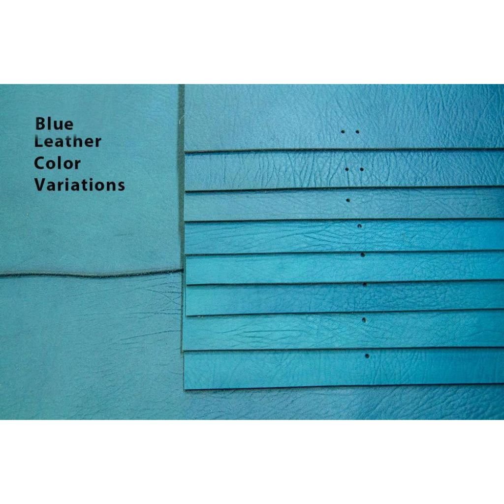 Blue Leather Color Variations